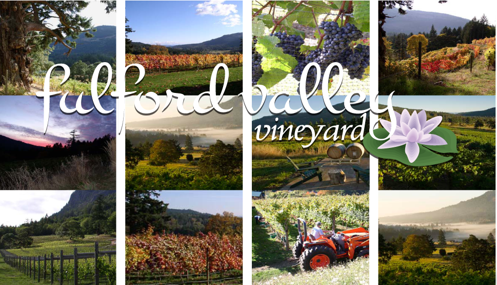 Fulford Valley Vineyard | Salt Spring Island Real Estate