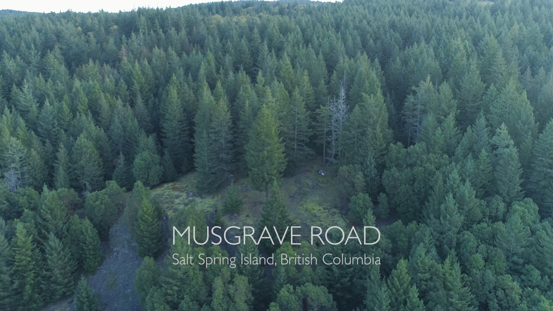 Musgrave Oceanview Land Salt Spring Island Real Estate