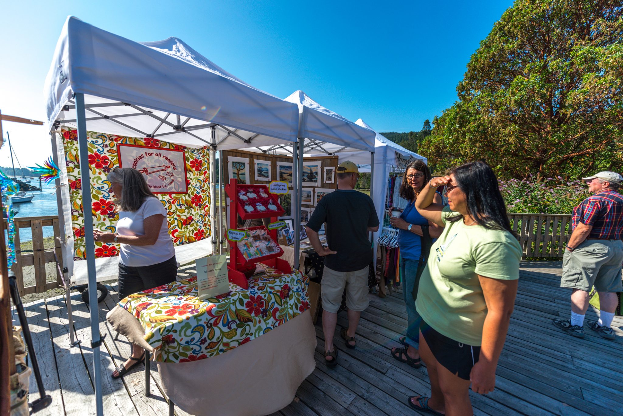 October 2021, Salt Spring Island Market Analysis Salt Spring Island