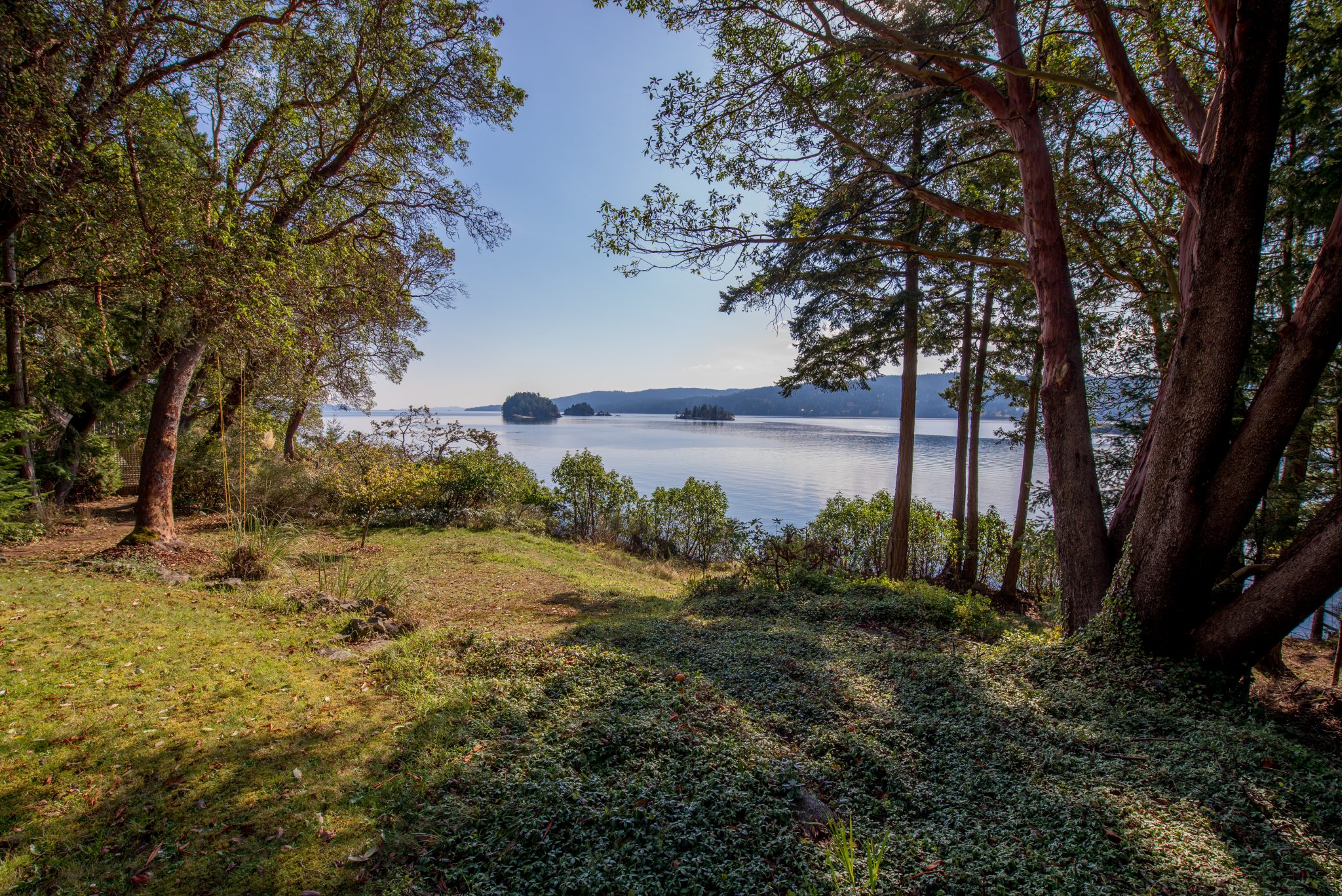 January 2021, Salt Spring Island Market Analysis Salt Spring Island