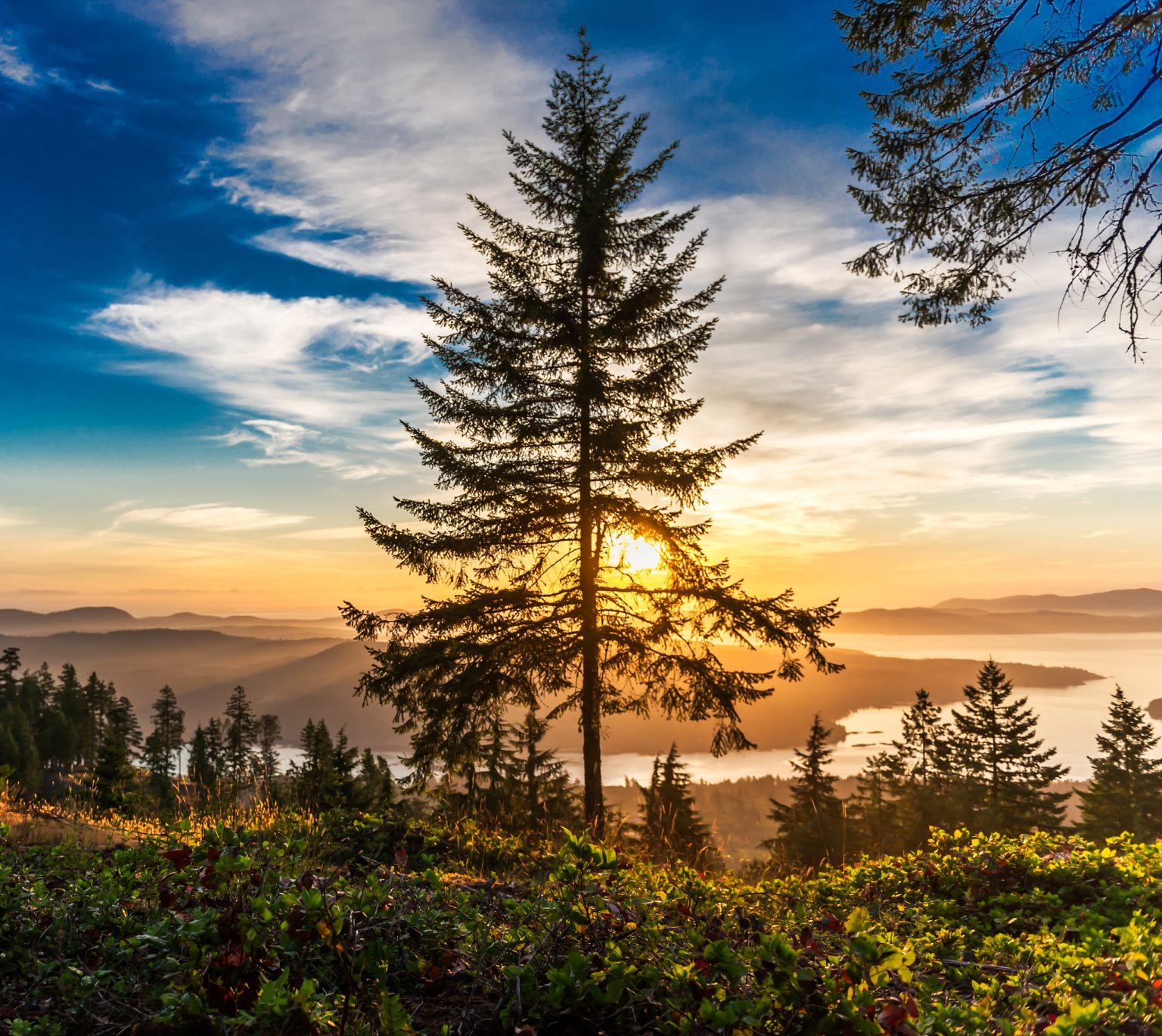 December 2021, Salt Spring Island Market Analysis Salt Spring Island