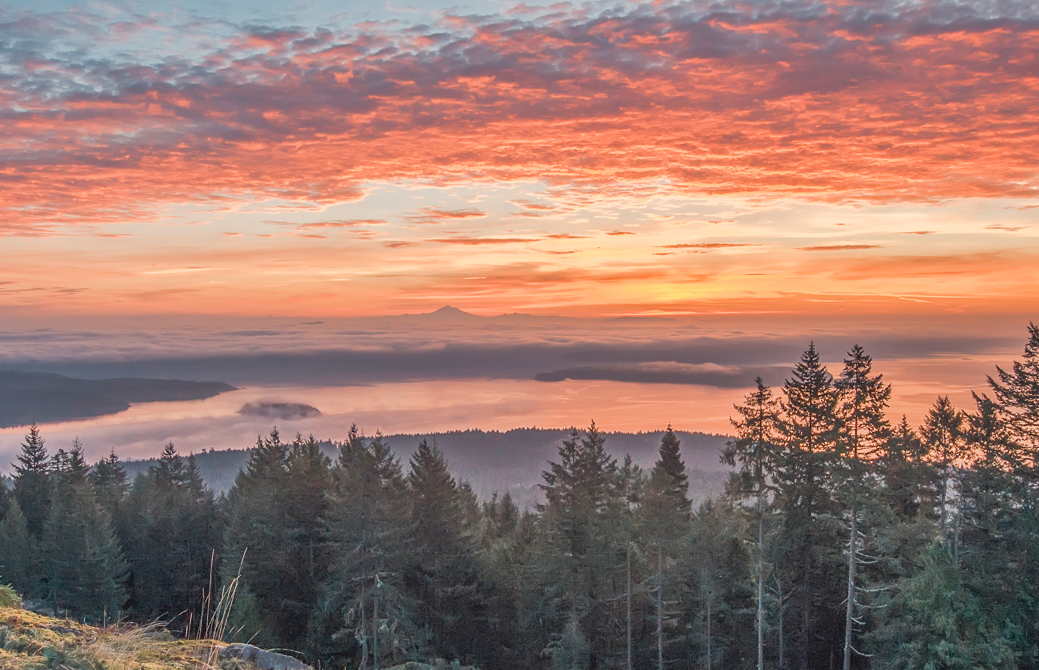 December 2021, Salt Spring Island Market Analysis Salt Spring Island