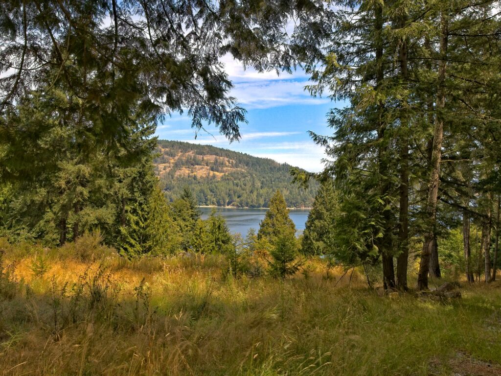 440A98891_HDR