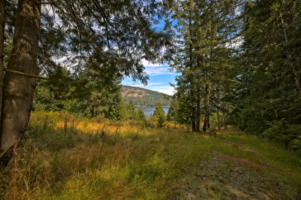440A9889_HDR