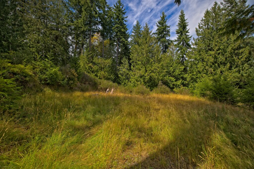 440A9899_HDR