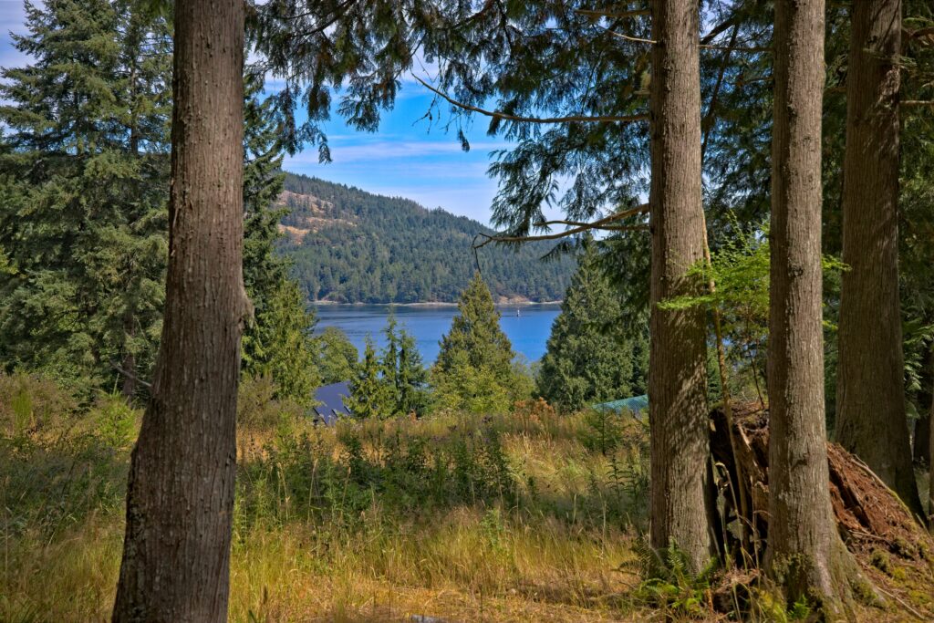 440A9904_HDR