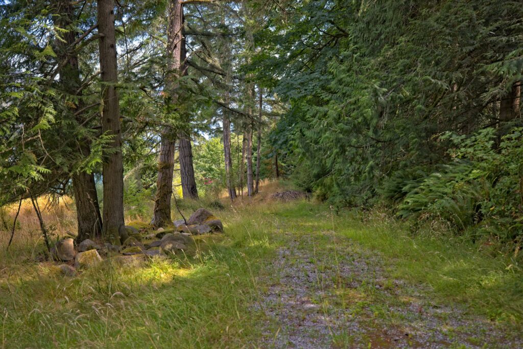 440A9909_HDR