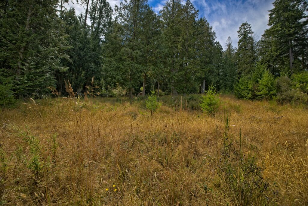 440A9929_HDR