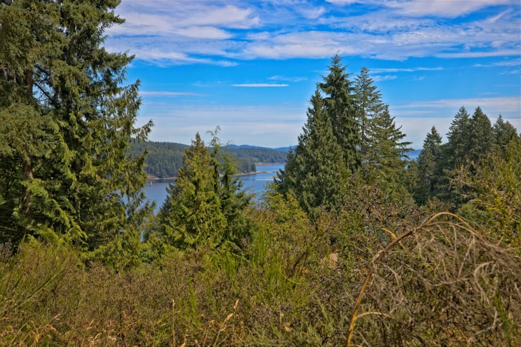 440A9939_HDR
