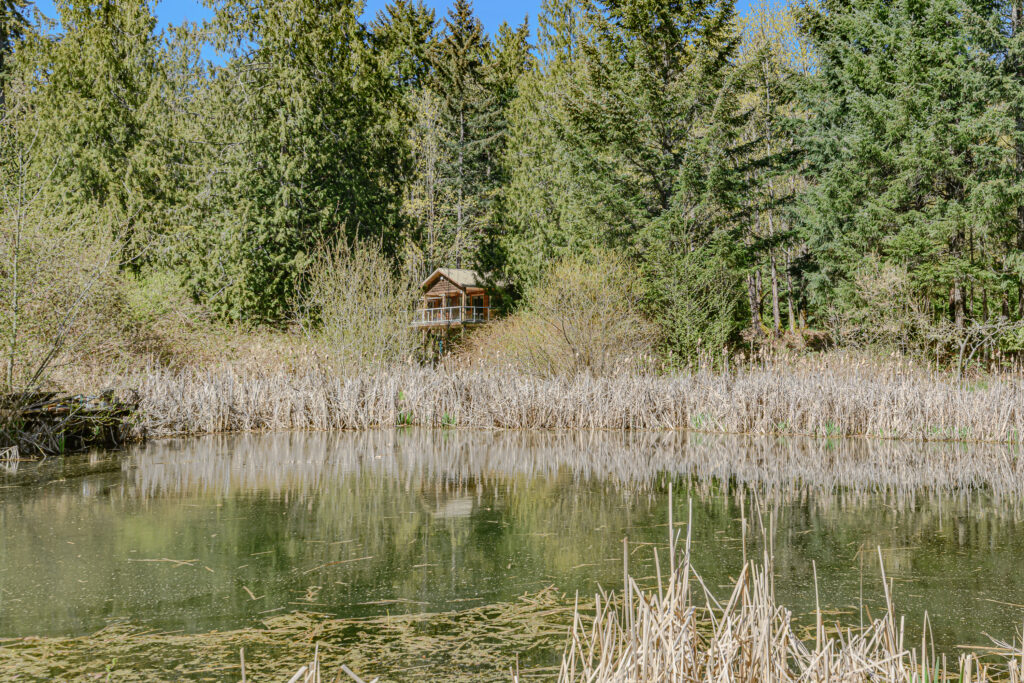 1661 Fulford-Ganges Road_Ian Brown_Coastline Photography-54