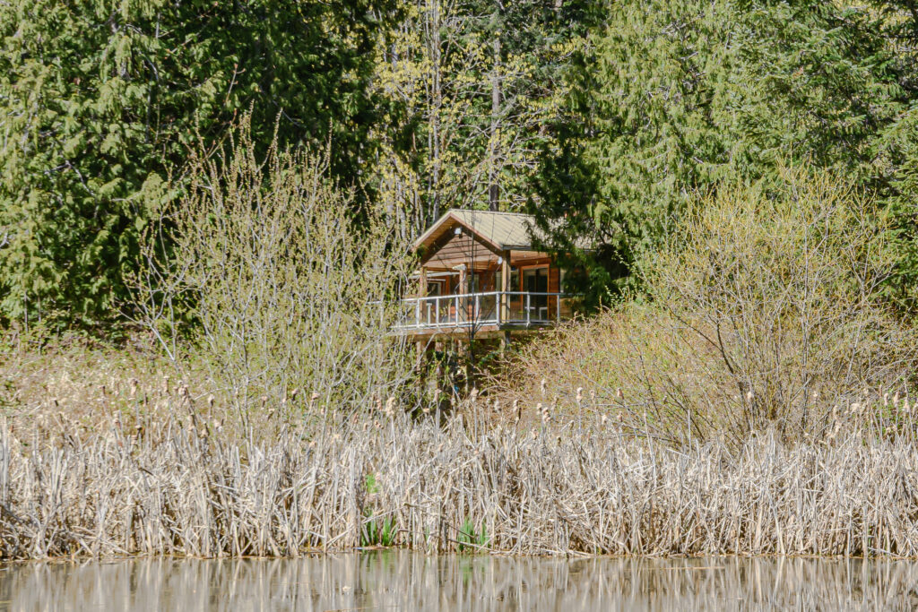 1661 Fulford-Ganges Road_Ian Brown_Coastline Photography-55