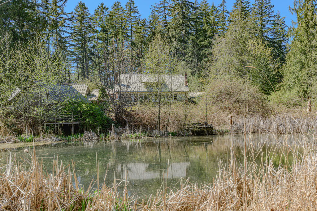 1661 Fulford-Ganges Road_Ian Brown_Coastline Photography-56