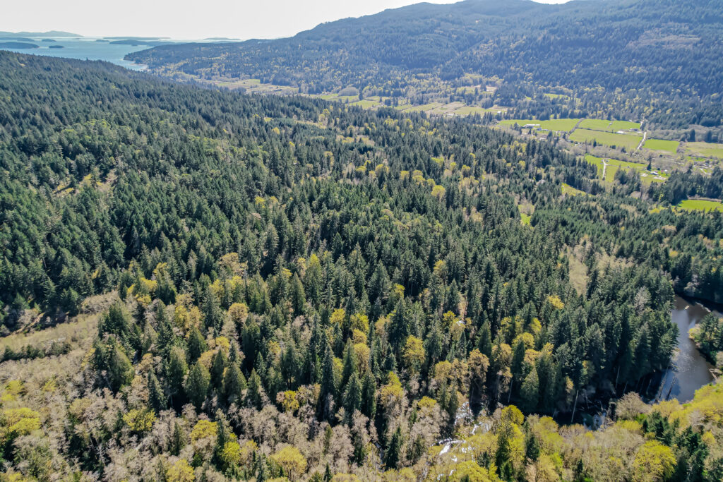 1661 Fulford-Ganges Road_Ian Brown_Coastline Photography-67