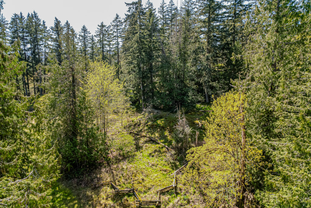 1661 Fulford-Ganges Road_Ian Brown_Coastline Photography-72