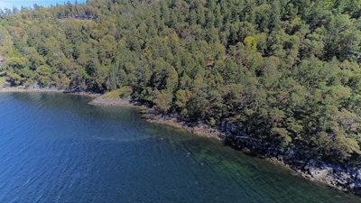 Clear water along a rocky, forested Salish Sea shoreline