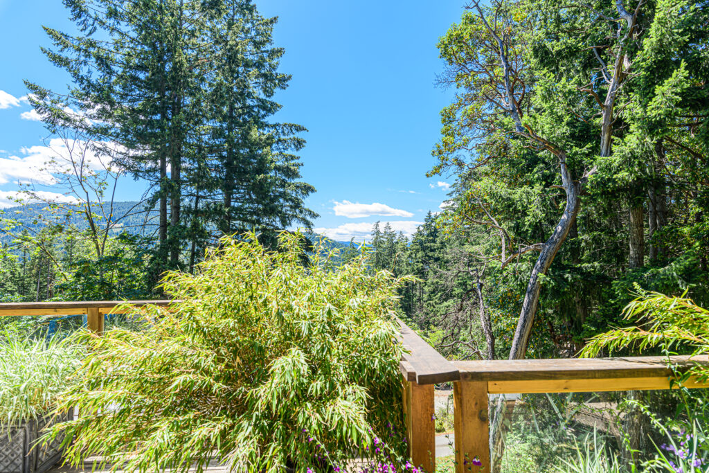 351 Elizabeth Drive_Ian Brown_Coastline Photography-41