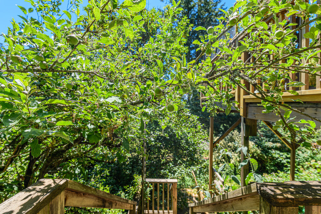 351 Elizabeth Drive_Ian Brown_Coastline Photography-50