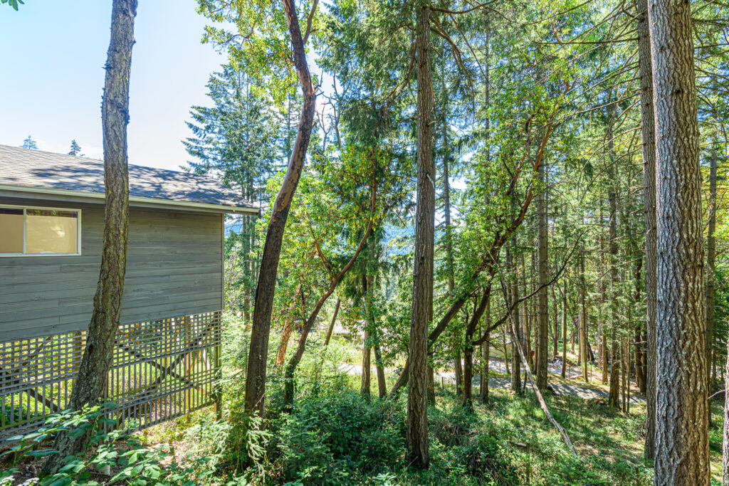 351 Elizabeth Drive_Ian Brown_Coastline Photography-64