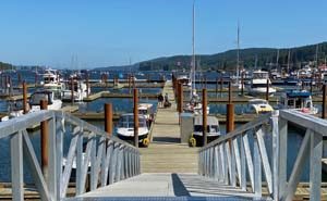 Boats moored at a Salt Spring Island marina on a bright summer day
