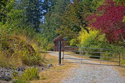 Autumn colour along a gated country driveway on Salt Spring Island